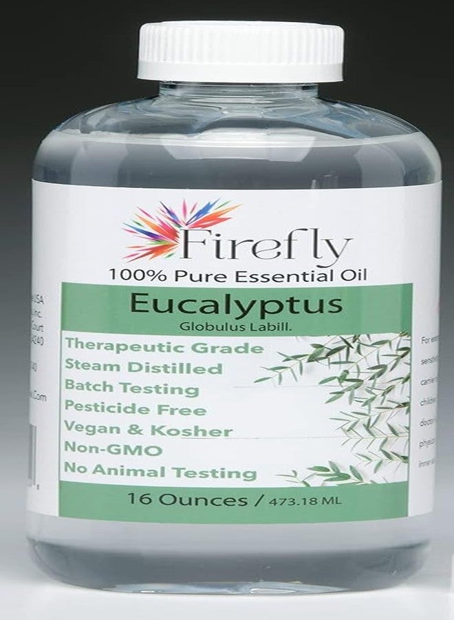 فايرفلاي زيت الأوكالبتوس العطري النقي 100% من فايرفلاي كوشير، عبوة كبيرة، 16 أونصة | تم اختبار نقاوته بتقنية GC/MS | درجة علاجية، غير معدل وراثيًا، مقطر بالبخار، نباتي - Image 2